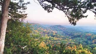 A scenic overlook at Wildcat Mountain State Park shows a sweeping valley filled with autumn foliage, framed by tree branches in the foreground under a soft, hazy sky.