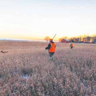Two hunters wearing blaze-orange vests walk through a frosty field at sunrise, each carrying a shotgun. A hunting dog runs ahead in the tall grass, with farm buildings and trees visible in the distance.