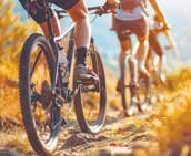 Cyclists riding mountain bikes on a dirt trail.