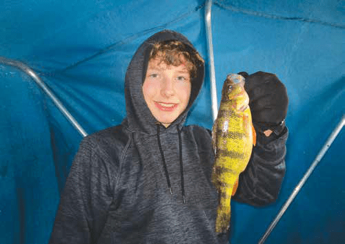 Young ice angler holding a yellow perch inside a blue ice fishing shelter.
