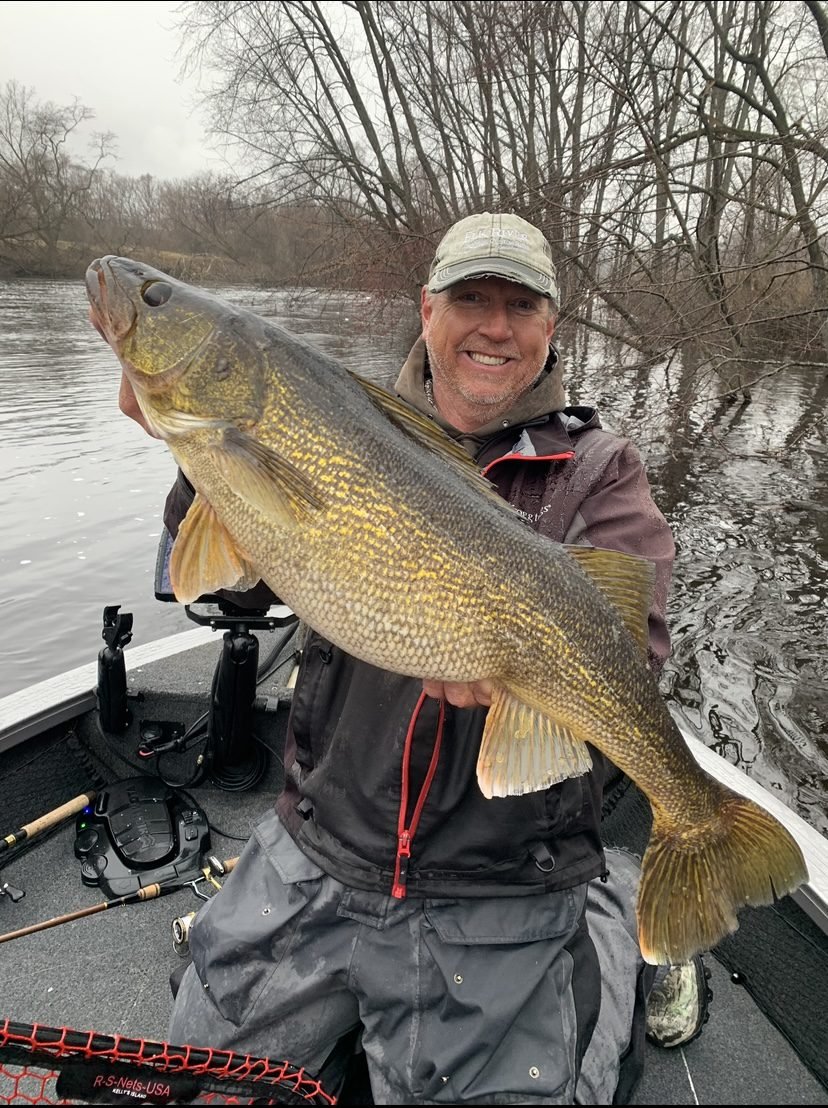 A man in a fishing boat on a river holding a large walleye